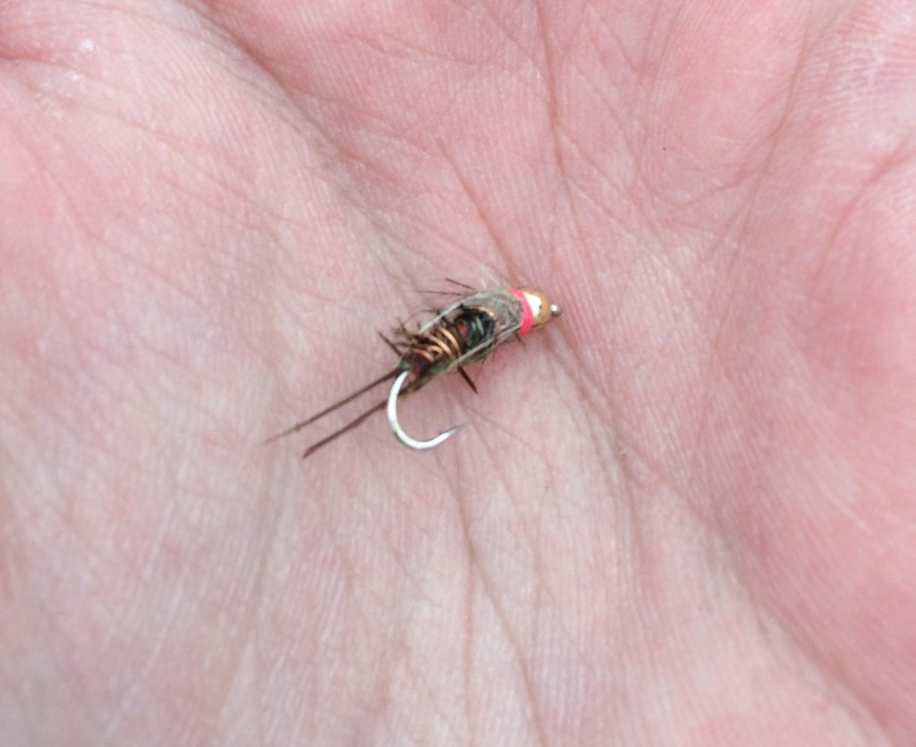 A torn up Euro pheasant tail. 