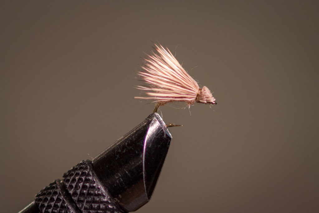 The Bread and Butter Caddis is one of our most effective dry fly patterns during the summer months. Tied without hackle so it sits lower on the surface, but the zelon underwing keeps it floating all day long. Tied on an emerger hook for increased hook-ups. Available in 14 and 16. $2.00 each.