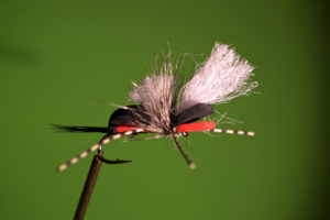 Trapper's fly of choice was a red hippie stomper in a size 16. 